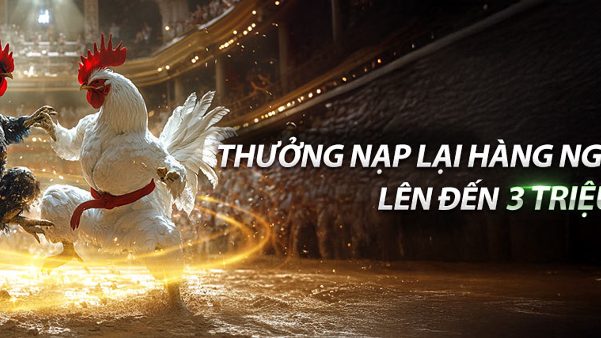 Đá gà trực tuyến kịch tính tại nhà cái F168